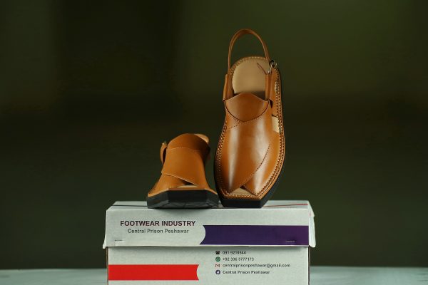 Kaptaan Chappal - 01